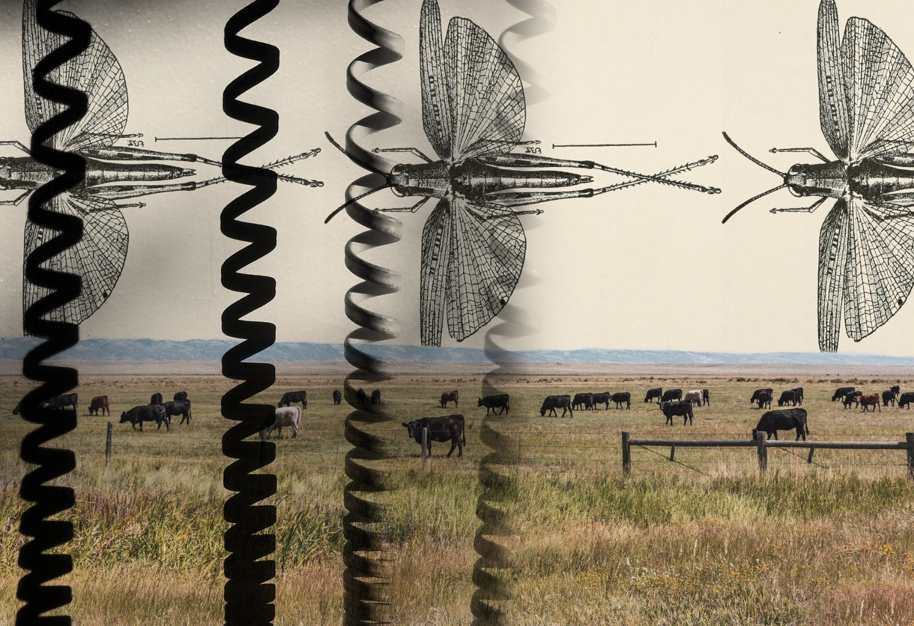 A new mental health hotline for farmers and ranchers