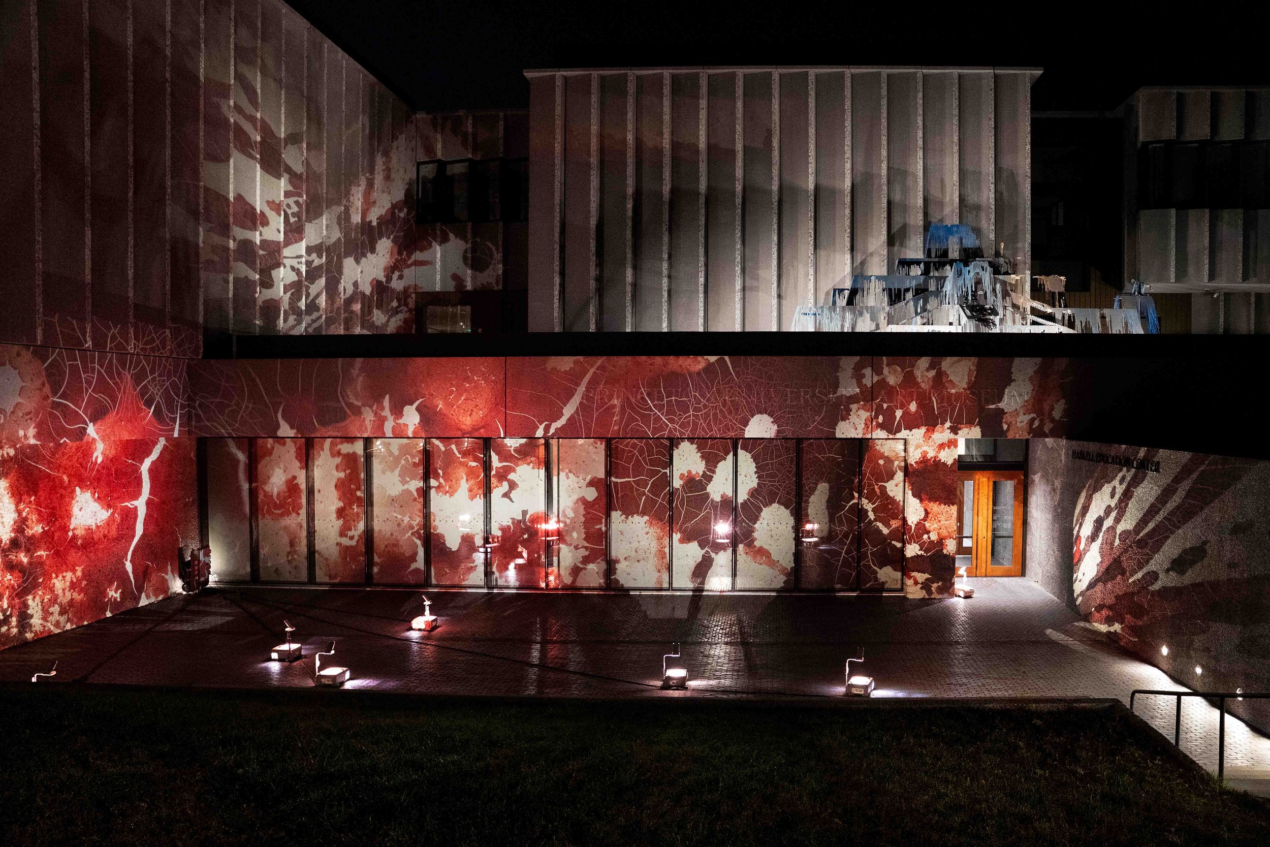 Image of an art installation by Jordan Eagles titled "Illuminations"