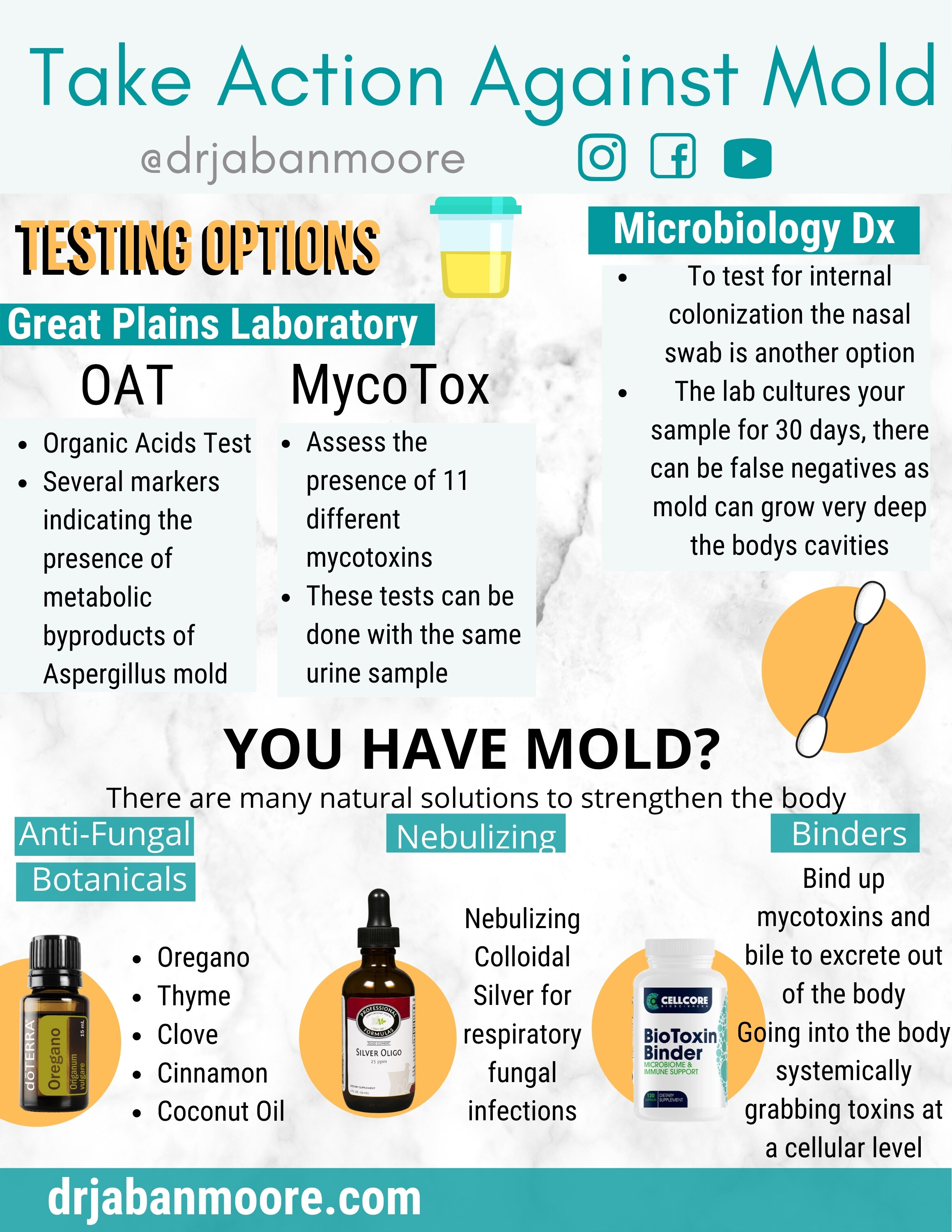 Can Mold Make You Sick? — Dr. Jaban