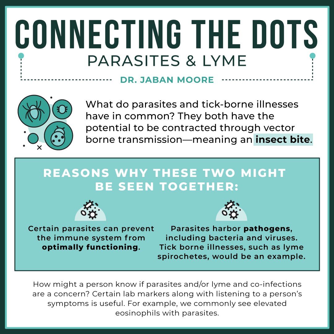 You may be wondering why we have discussed what appears to be two separate topics: parasites and tick-borne illnesses. One thing these two have in common is the potential to be contracted through vector borne transmission&mdash;meaning an insect bite