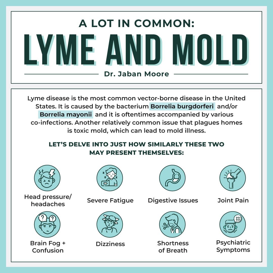 Since you&rsquo;re here, you may be familiar with lyme disease and you&rsquo;re possibly familiar with mold illness. Lyme disease is the most common vector-borne disease in the United States. It is caused by the bacterium Borrelia burgdorferi and/or 