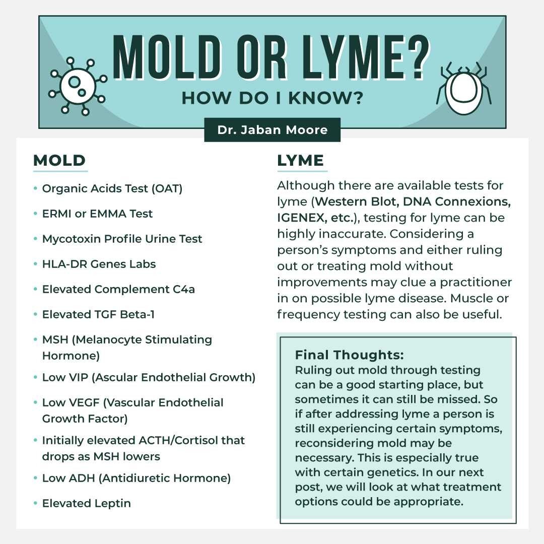 After our previous post, you may be wondering how a person can know whether they are experiencing mold, lyme, or both. In this post, we will explore possible testing options and diagnosis tools a practitioner may consider using. Though not always per