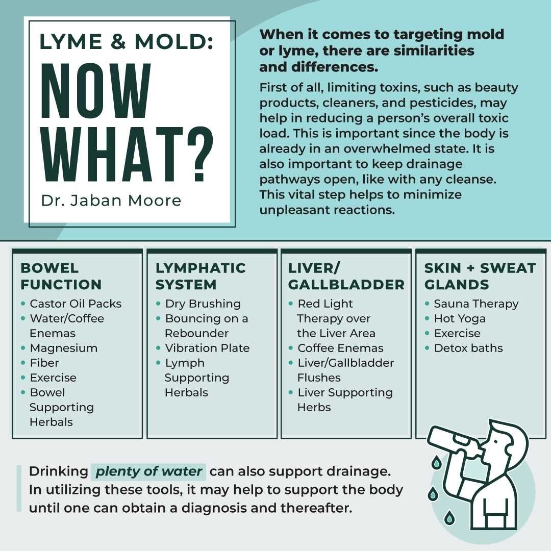 When it comes to targeting mold or lyme, there are similarities and differences. First of all, limiting toxins, such as beauty products, cleaners, and pesticides, may help in reducing a person&rsquo;s overall toxic load. This is important since the b