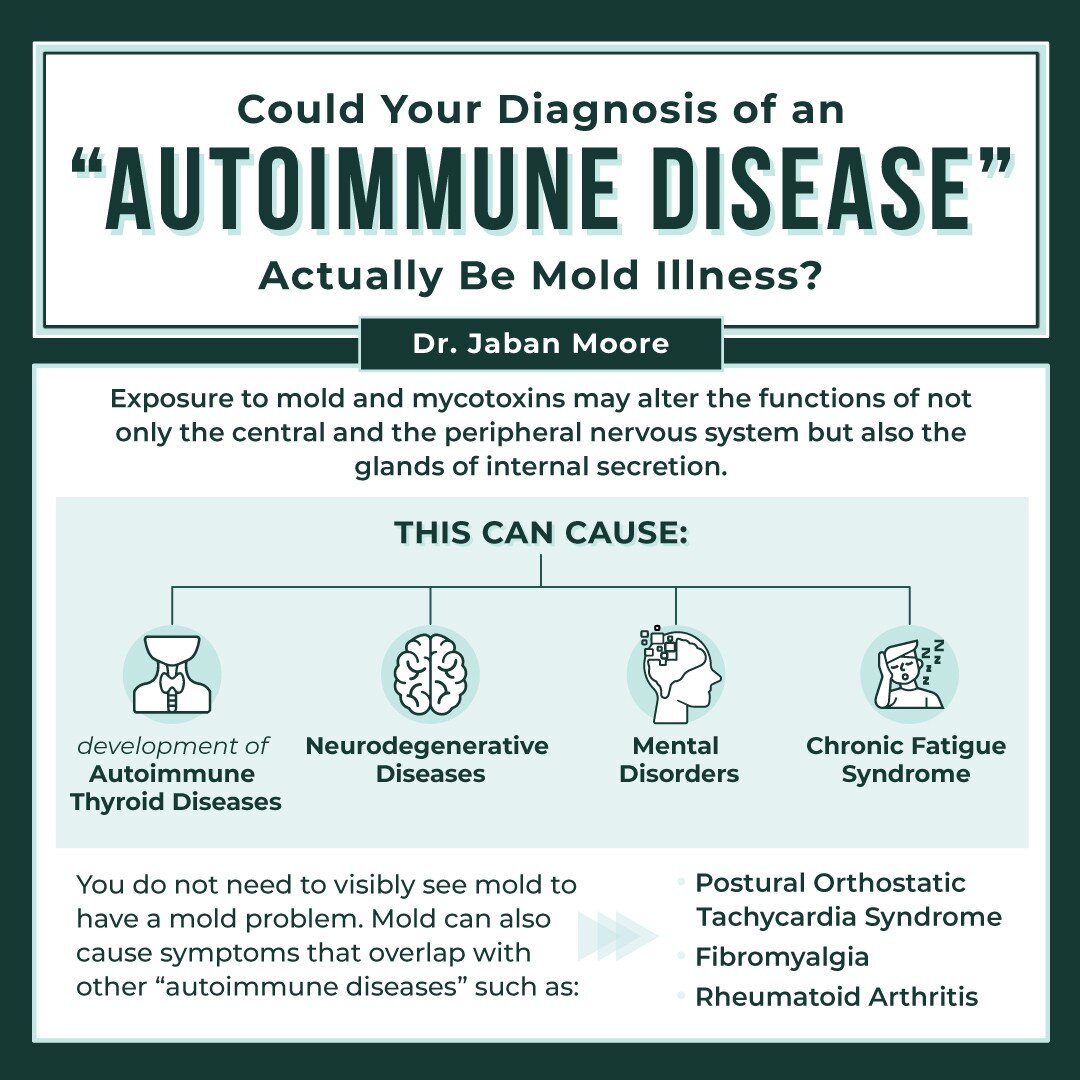 Could your diagnosis of an &ldquo;autoimmune disease&rdquo; actually be mold illness? 

	The possibility of being misdiagnosed is common since the dangers of toxic mold is overlooked by the medical community. In truth, mold can cause a plethora of sy