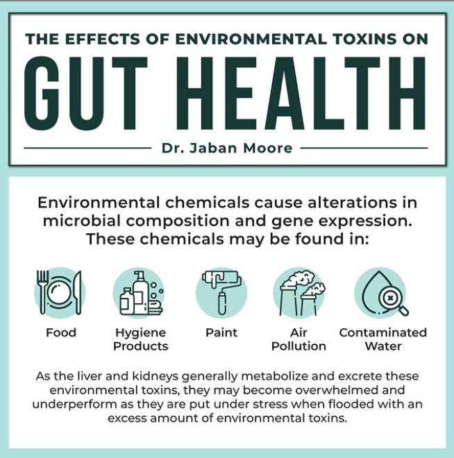 Toxicity in Food and Hygiene Products