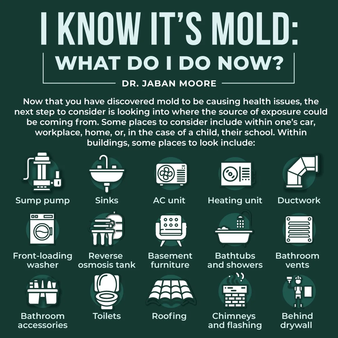 The Parasite &amp; Mold Connection