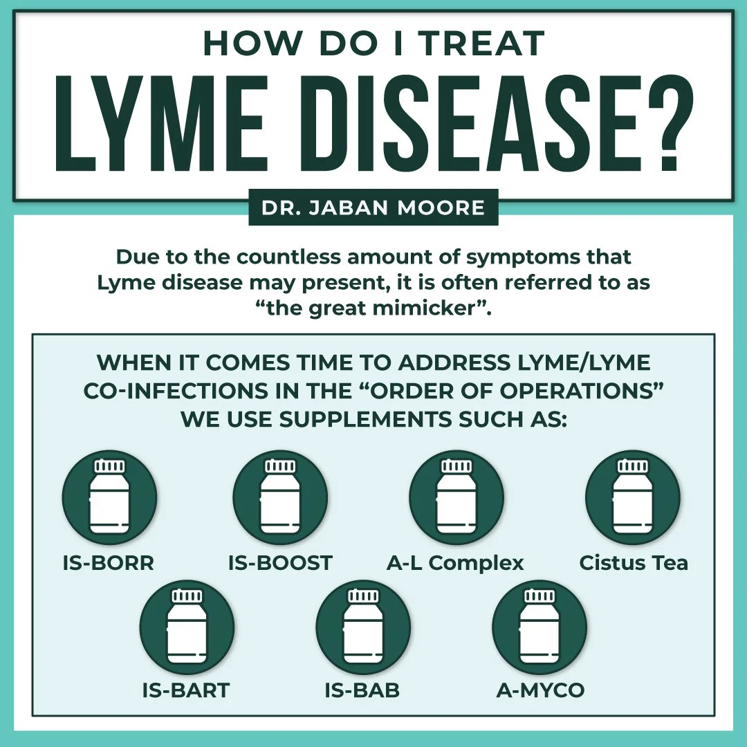 Lyme Disease: Our Approach