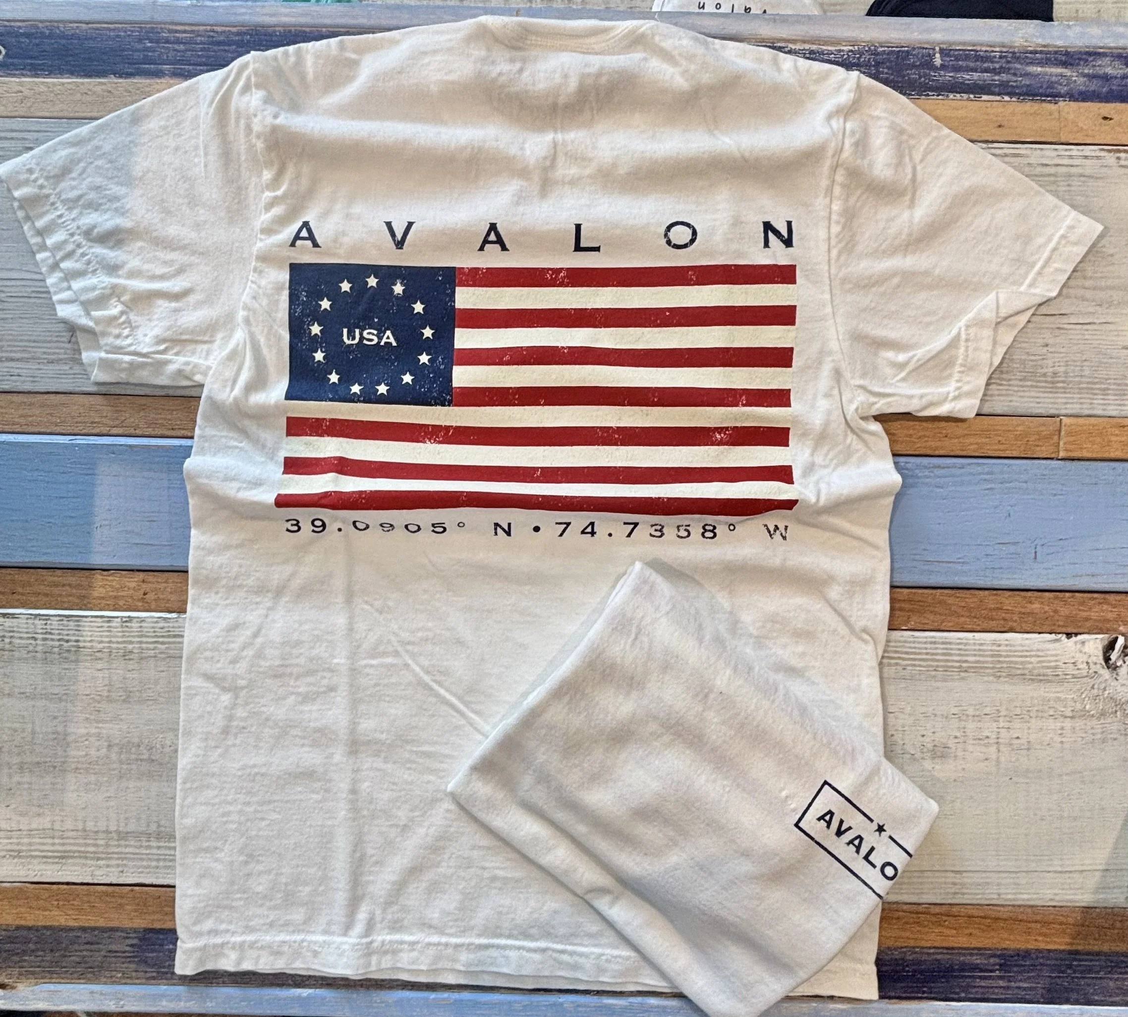 back flag print.jpeg