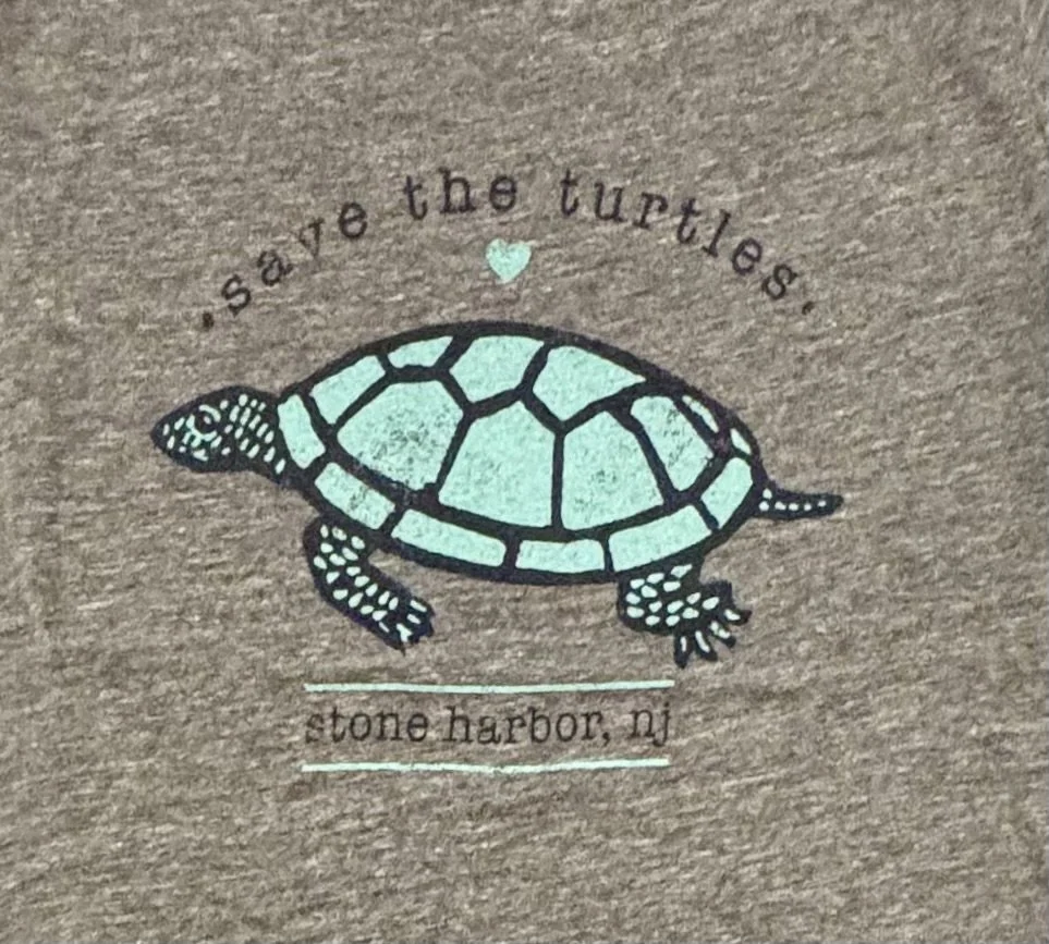 save the turtles grey.jpeg