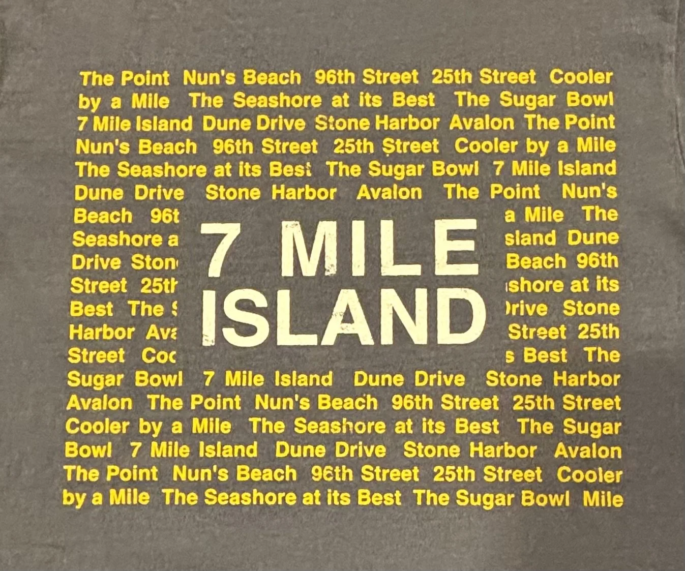 7 mile backprint.jpeg