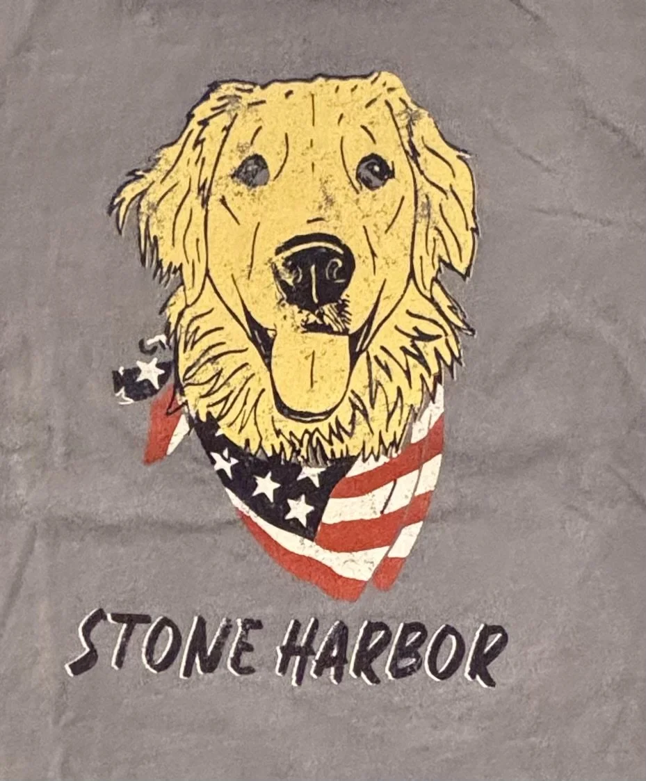 dog with flag bandana.jpeg