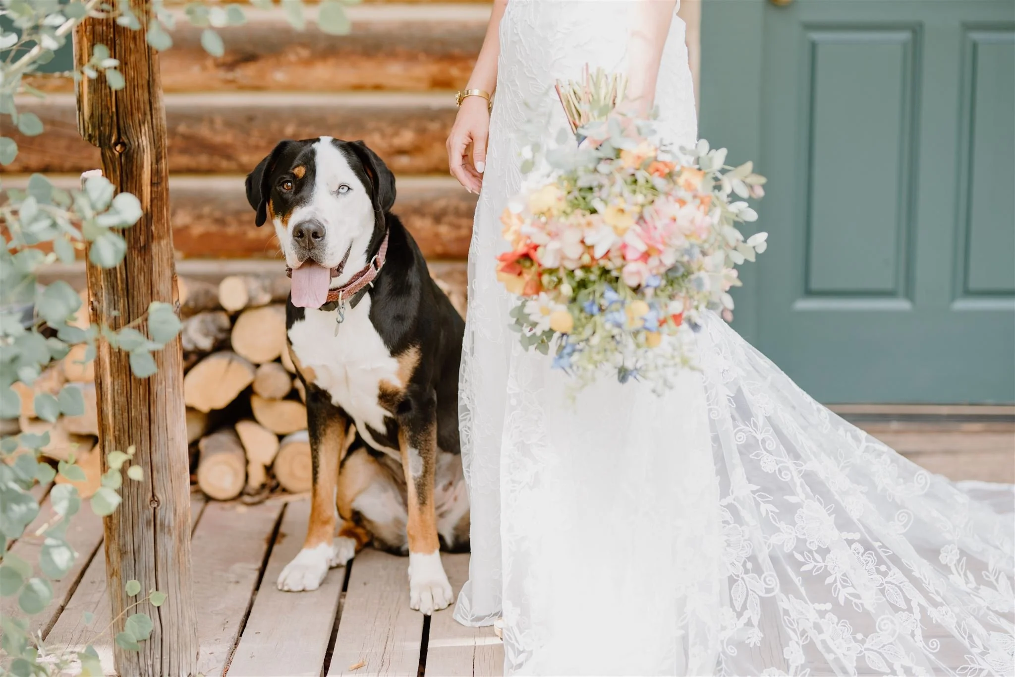 This is for the Dog Moms