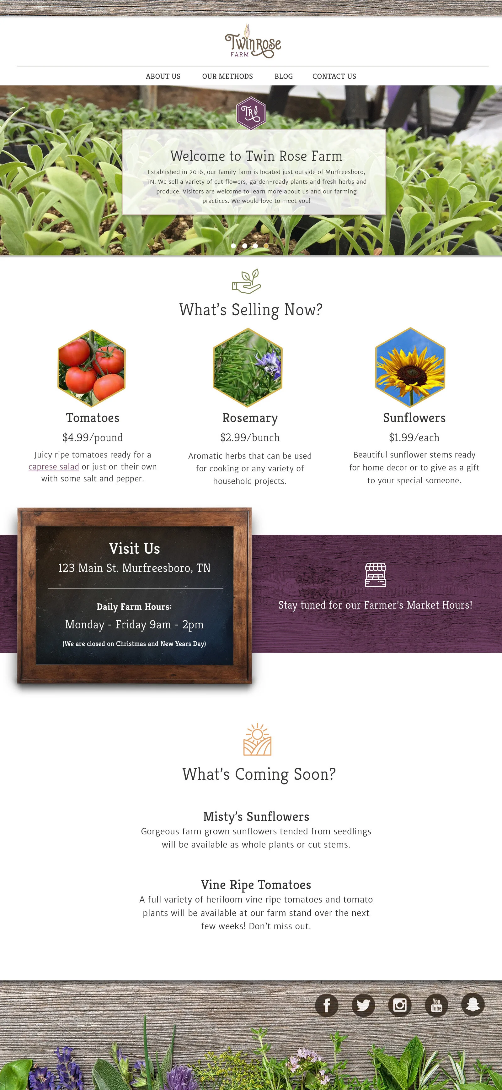 Website Design & Branding