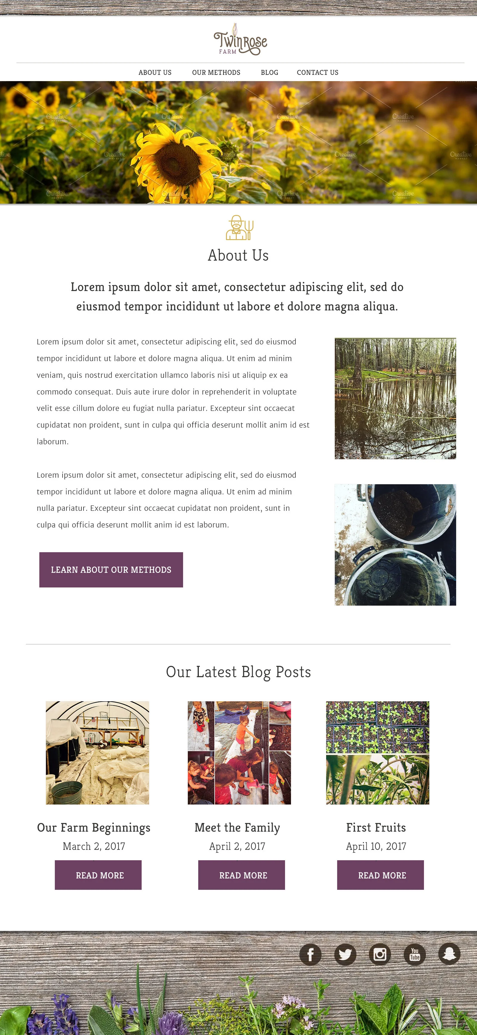Website Design & Branding