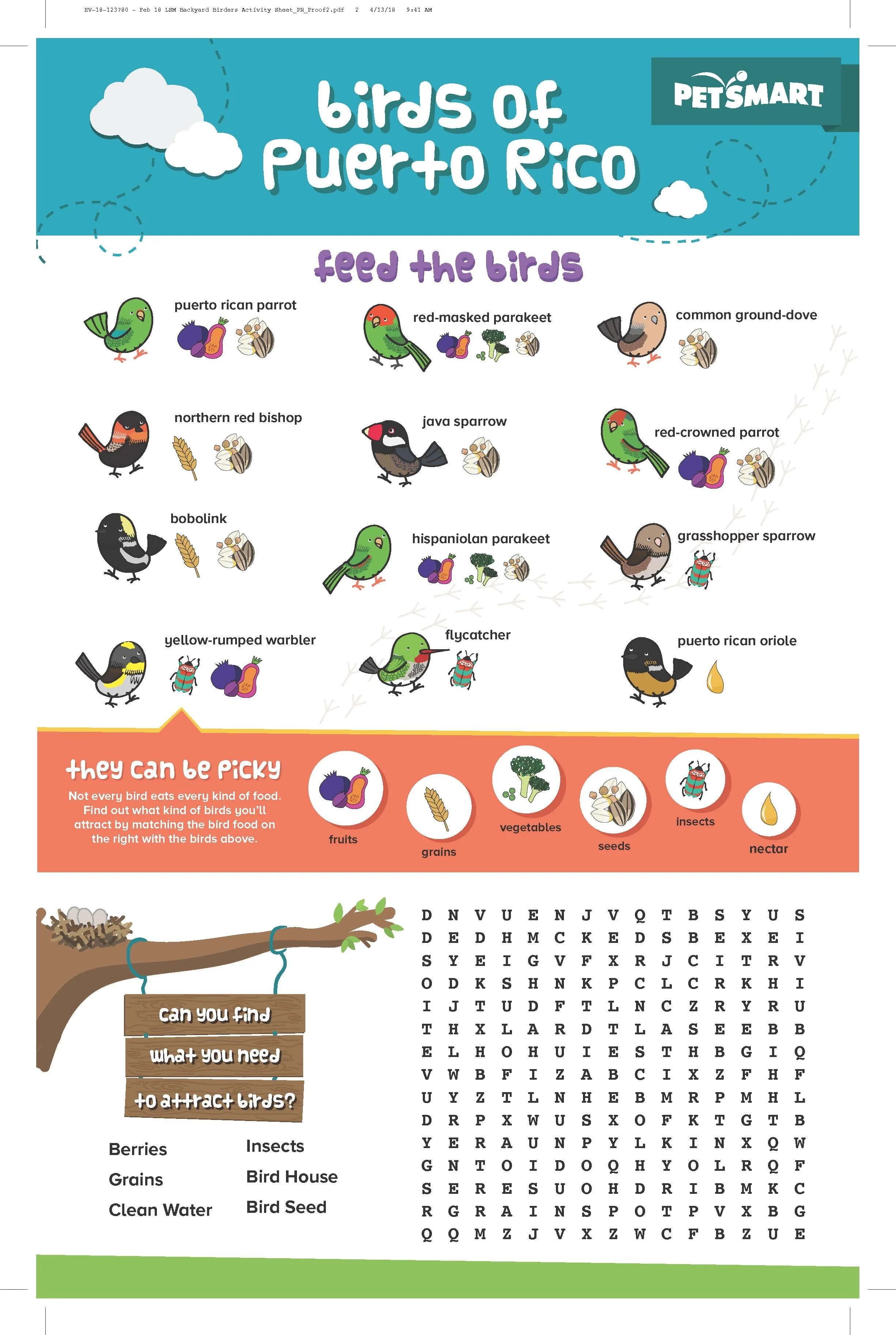 Print Design - Activity Sheet