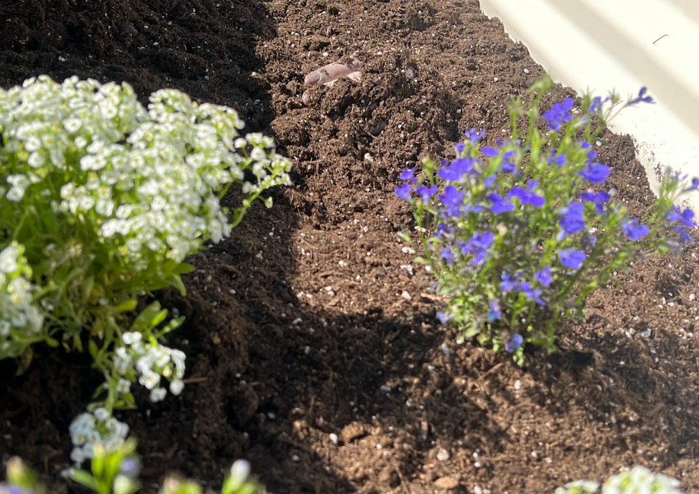 Screenshot (148).png