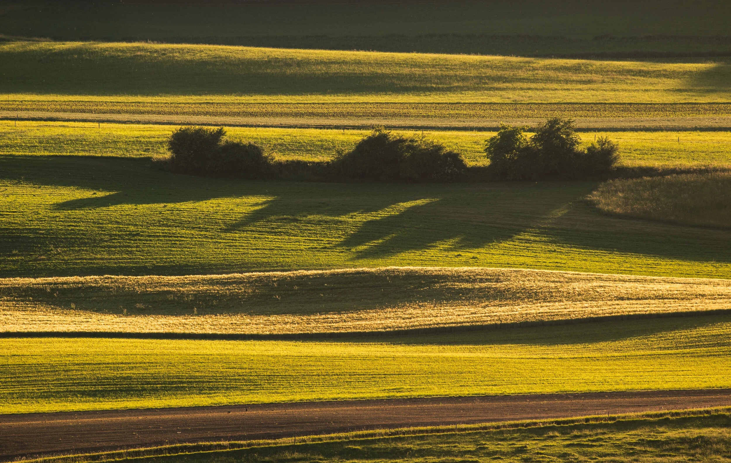 Startups: Plowing, Building, and Fatal Assumptions