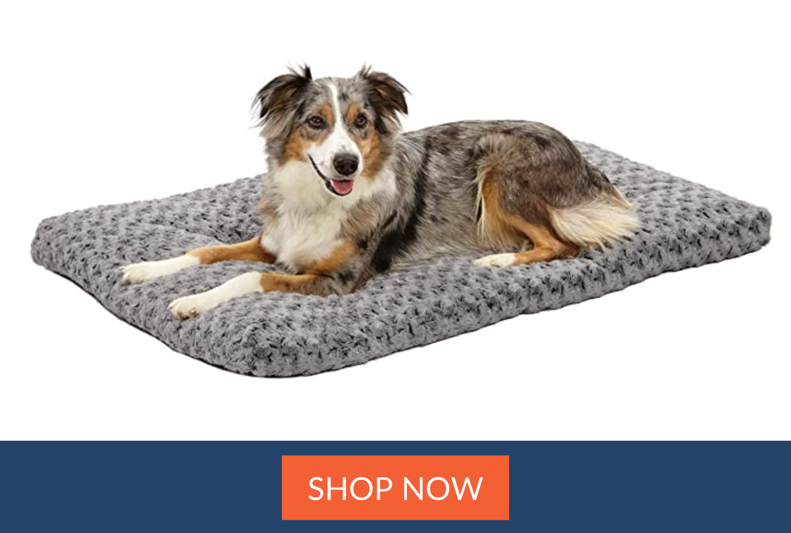MidWest Homes for Pets Deluxe Super Plush Pet Beds