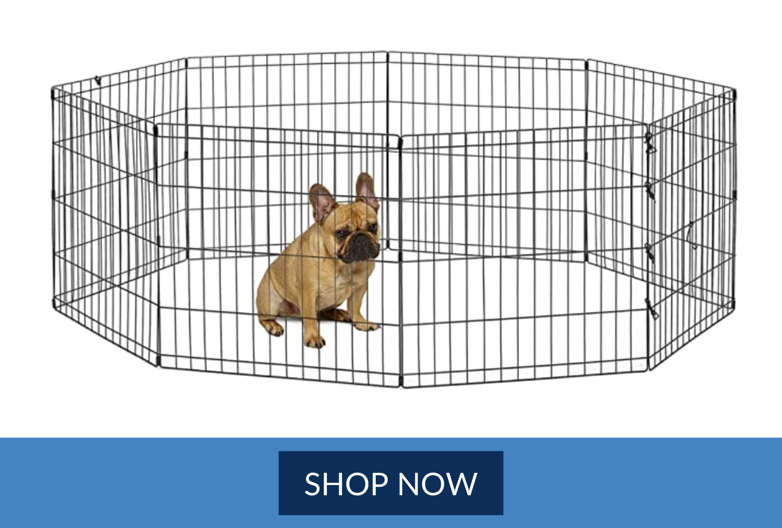 New World Pet Products Foldable Metal Exercise Pen &amp; Pet Playpen