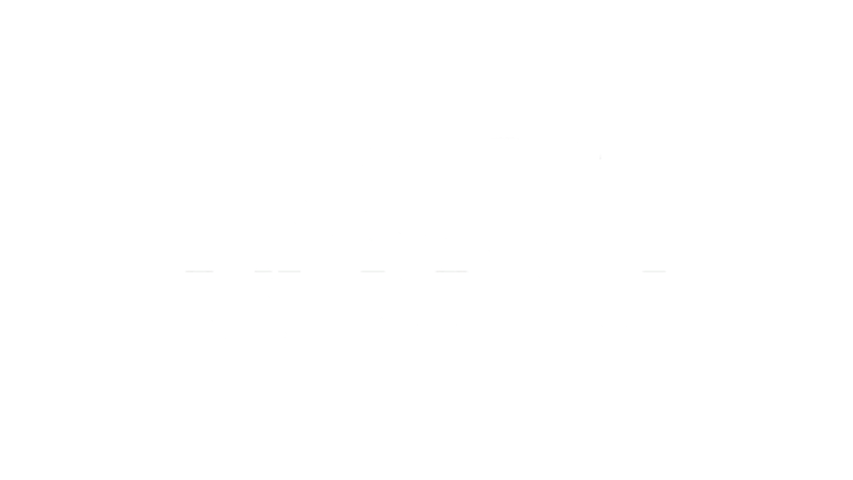 McNally Enterprises Inc.