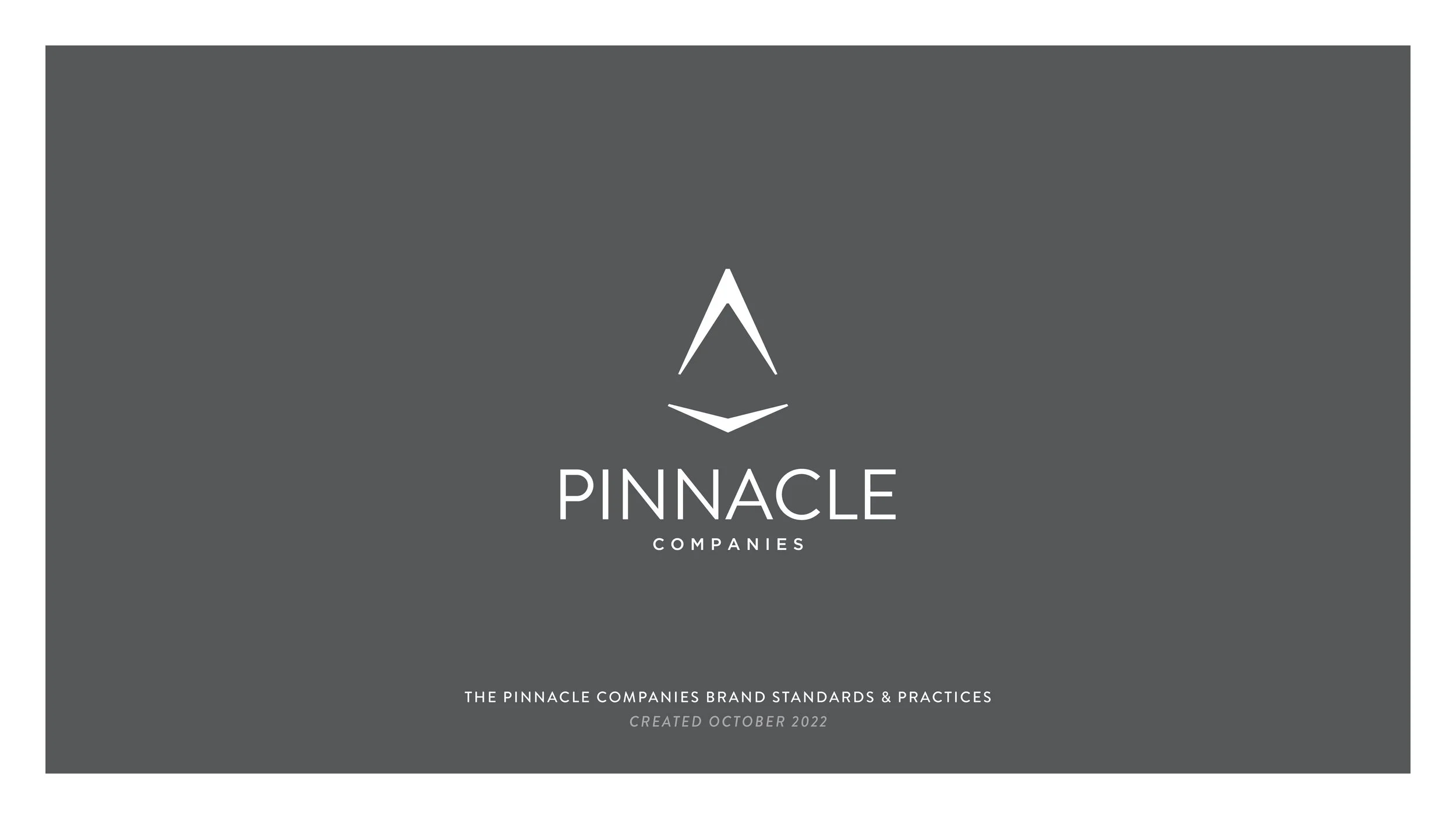 Pinnacle_BrandStandards_11.jpg