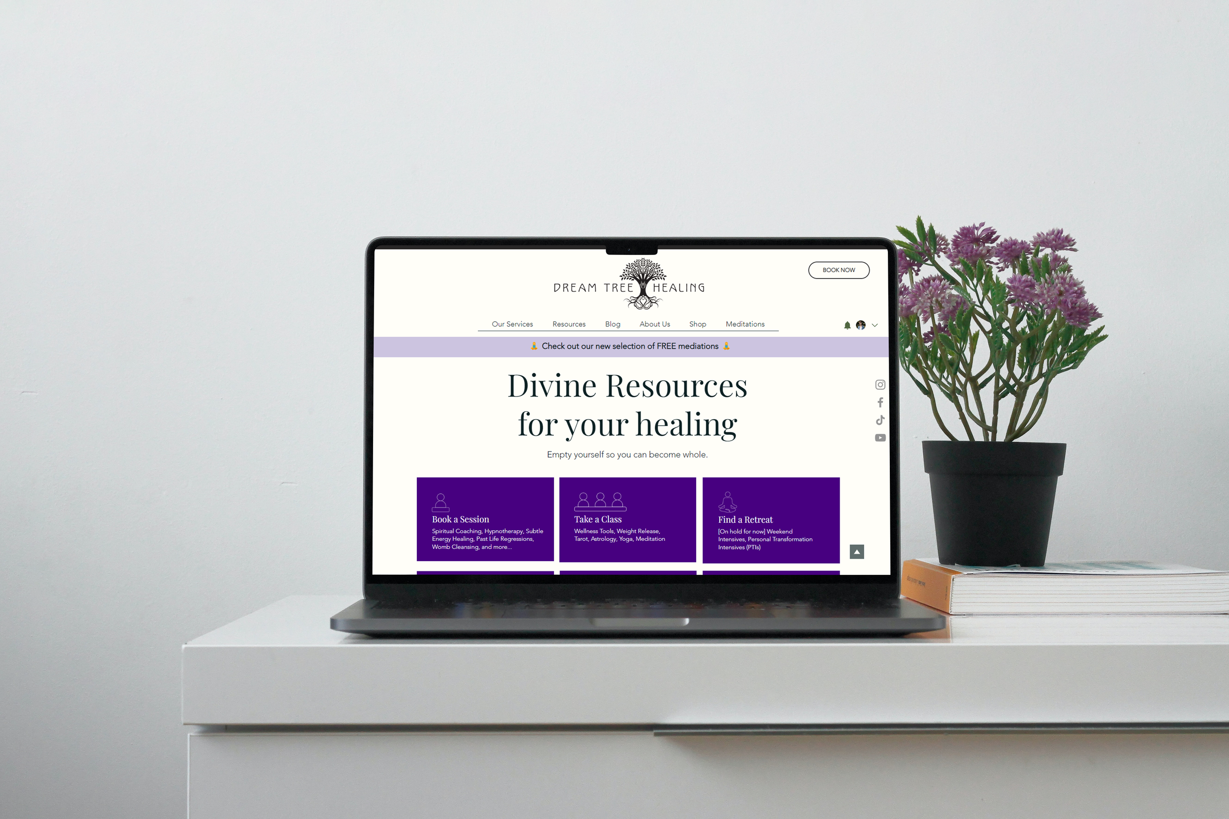 Dream Tree Healing // Website Creation