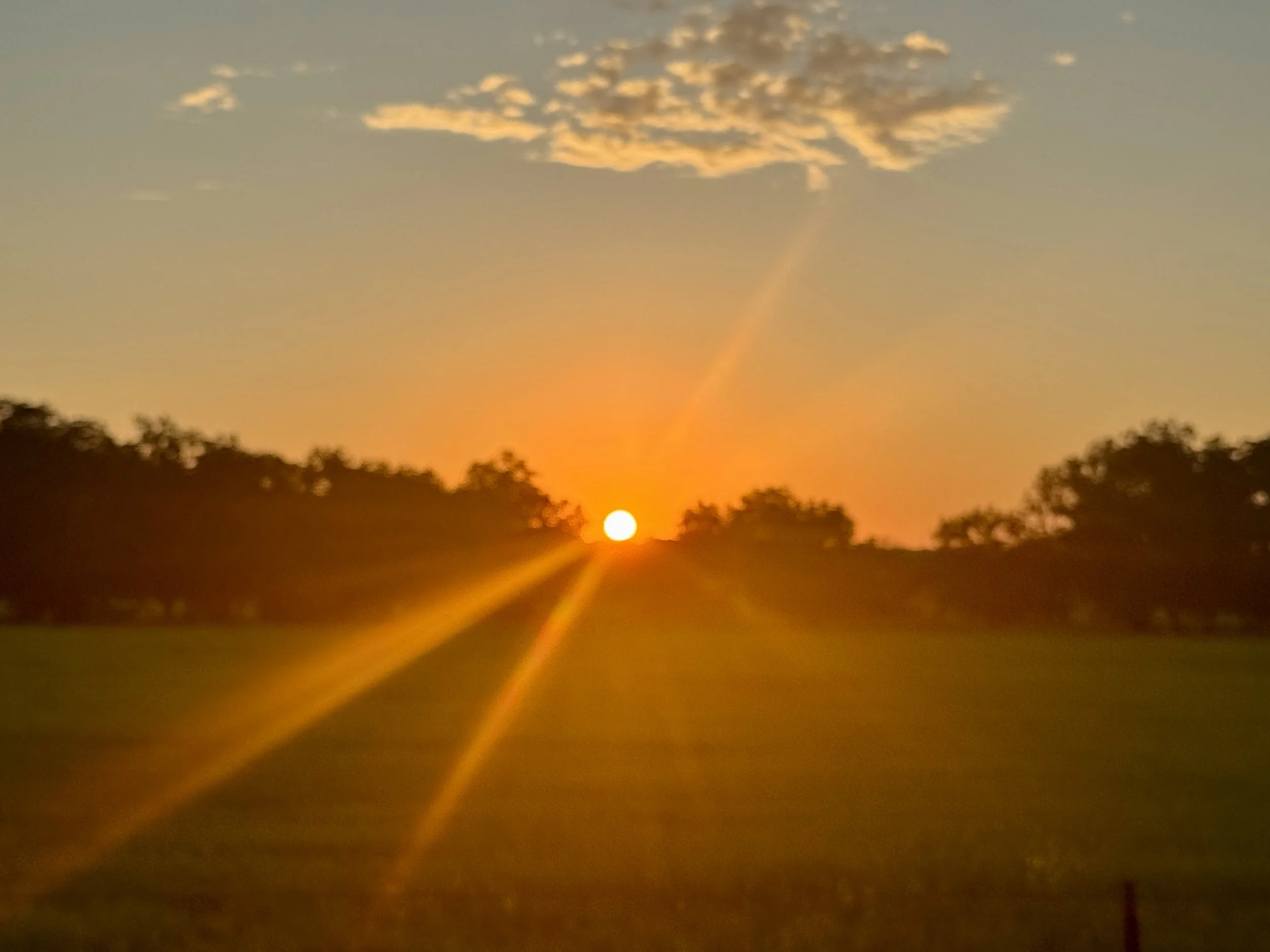 He goes before you know! 