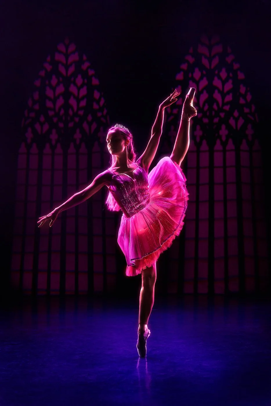 20260411_Ballet_of_Lights0291-2.jpg