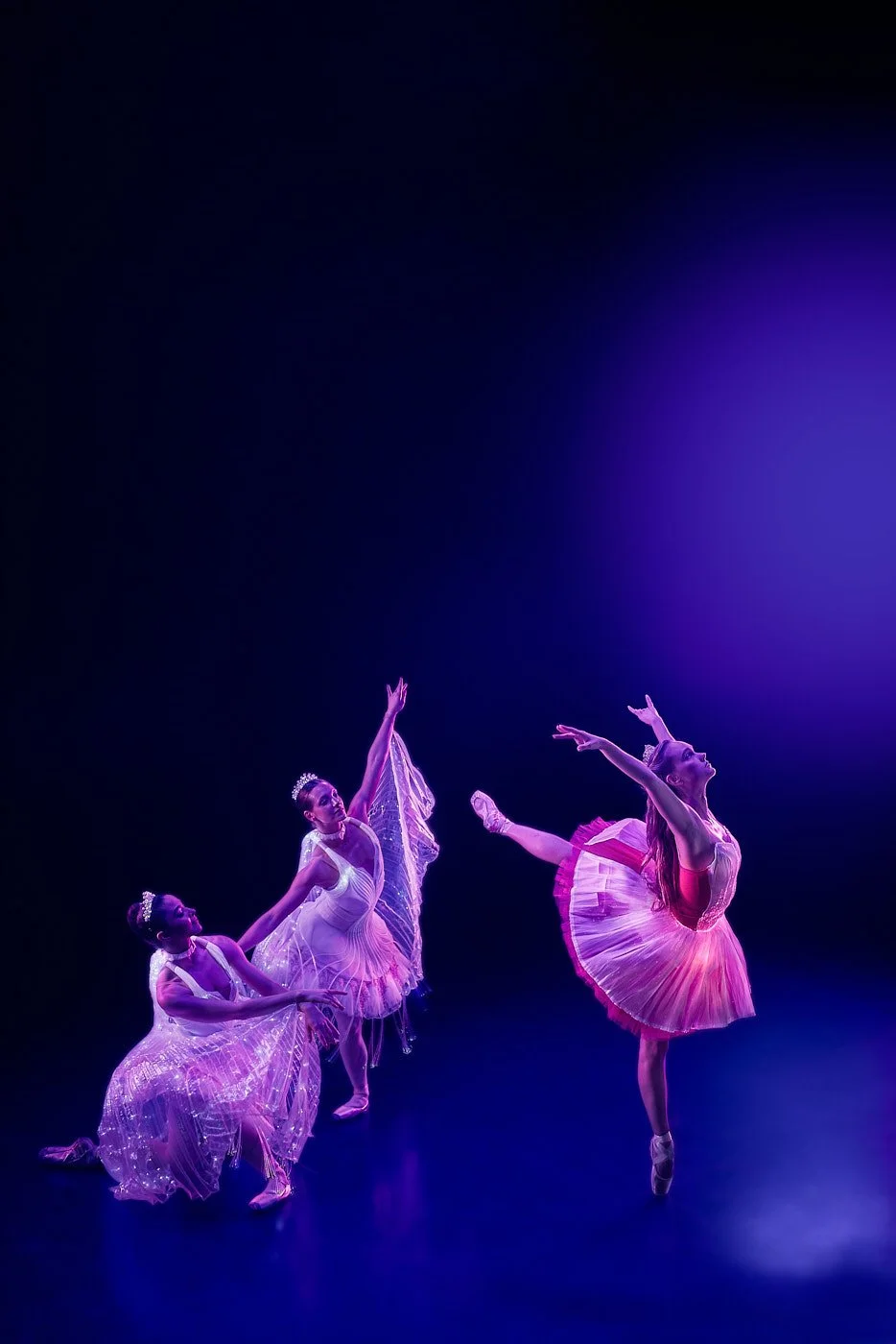 20260411_Ballet_of_Lights1531.jpg