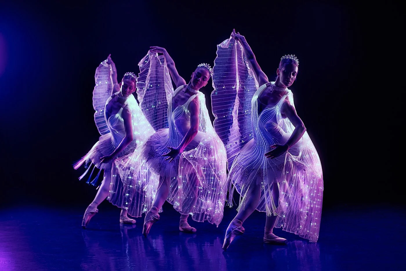 20260411_Ballet_of_Lights1474.jpg