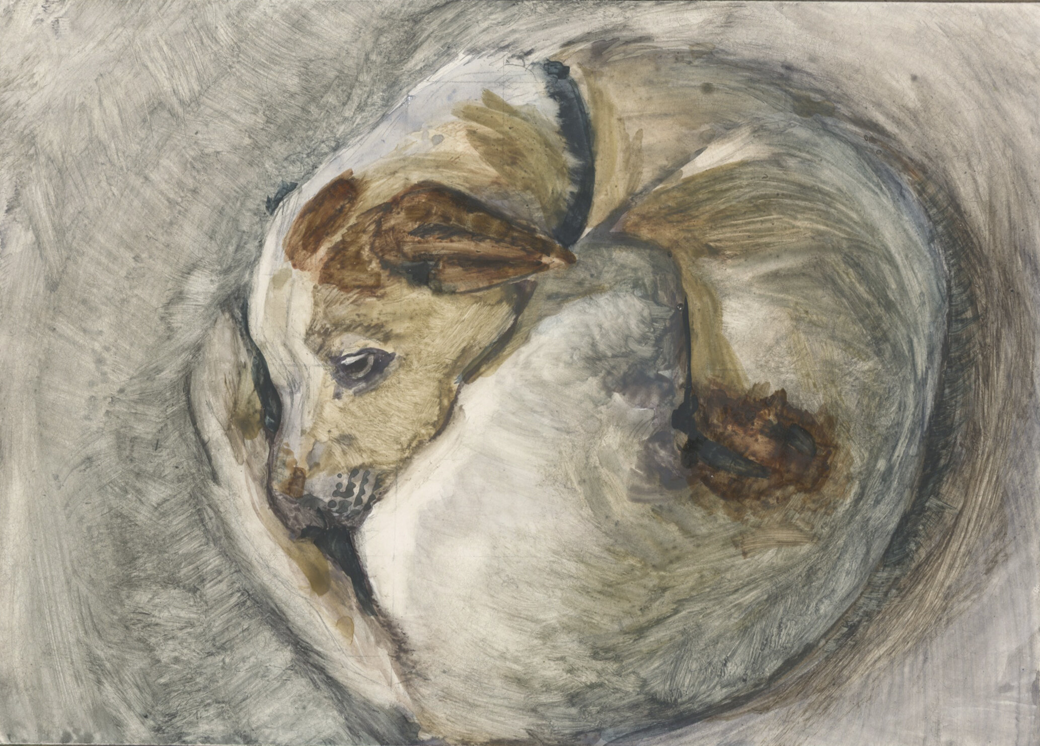   Sleepy Wyatt  Watercolor on clayboard panel 6x8 inches 