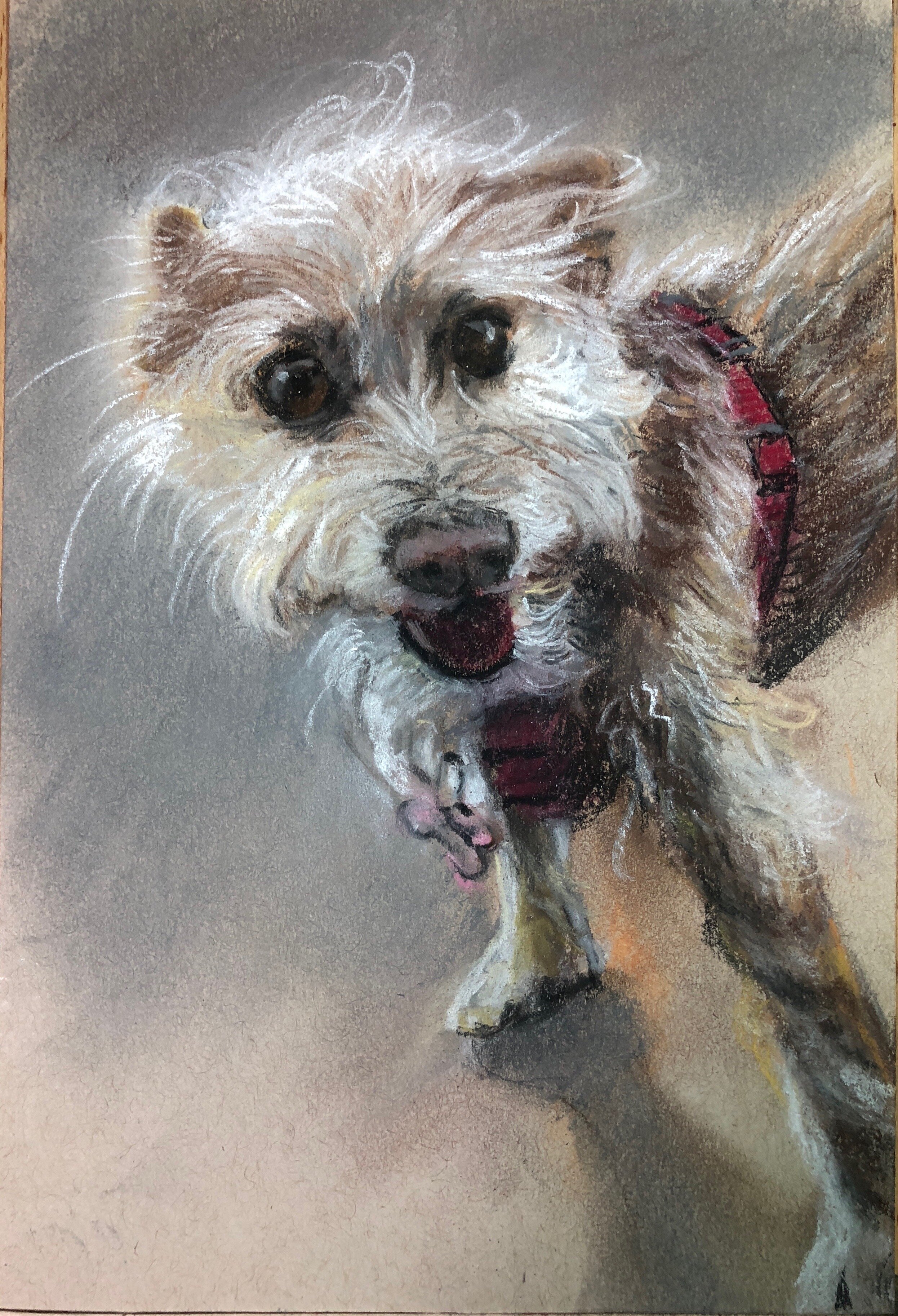   Max  Watercolor and chalk pastel on paper 8x6 inches 