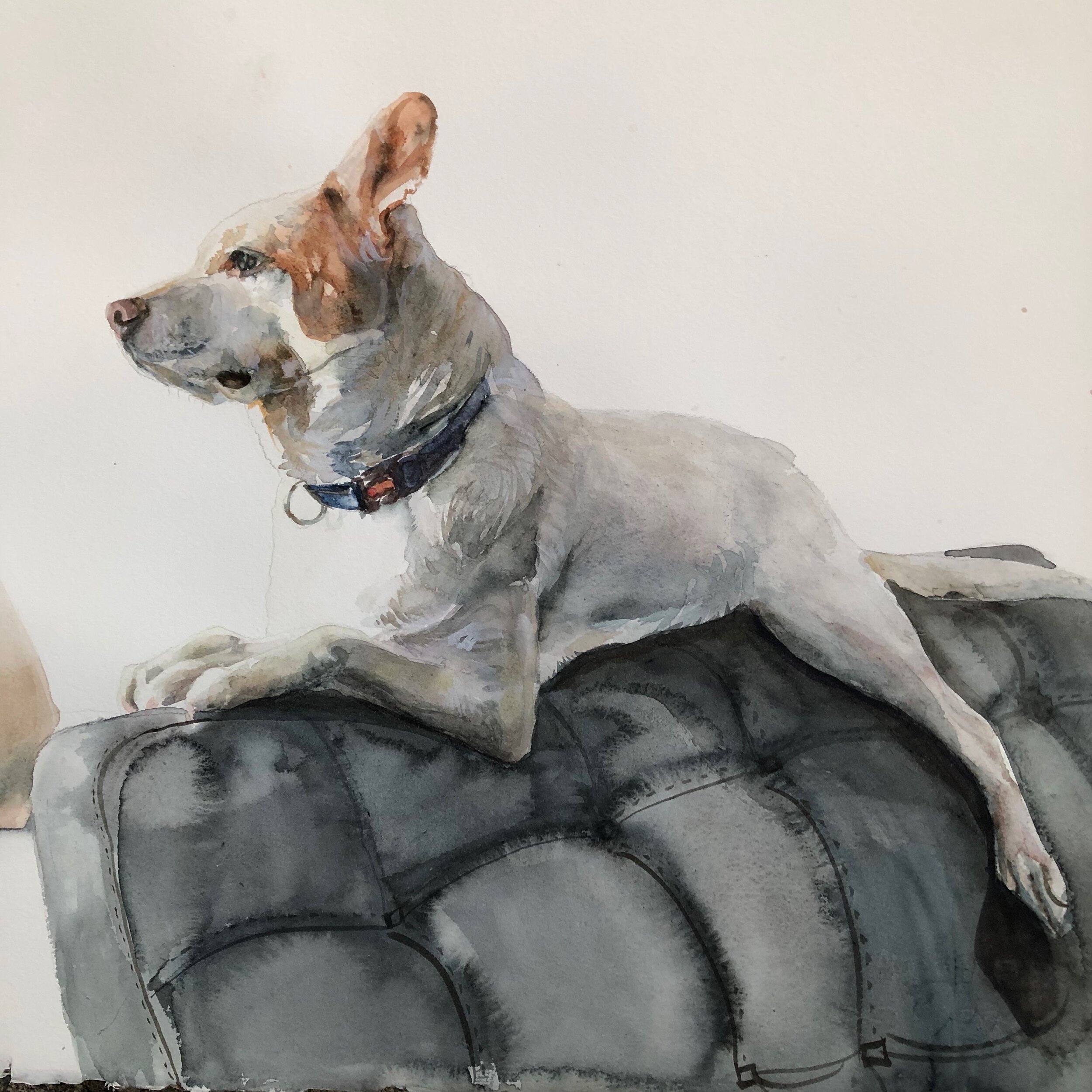   Wyatt’s Favorite Spot  Watercolor on Arches watercolor paper 6x6 inches 