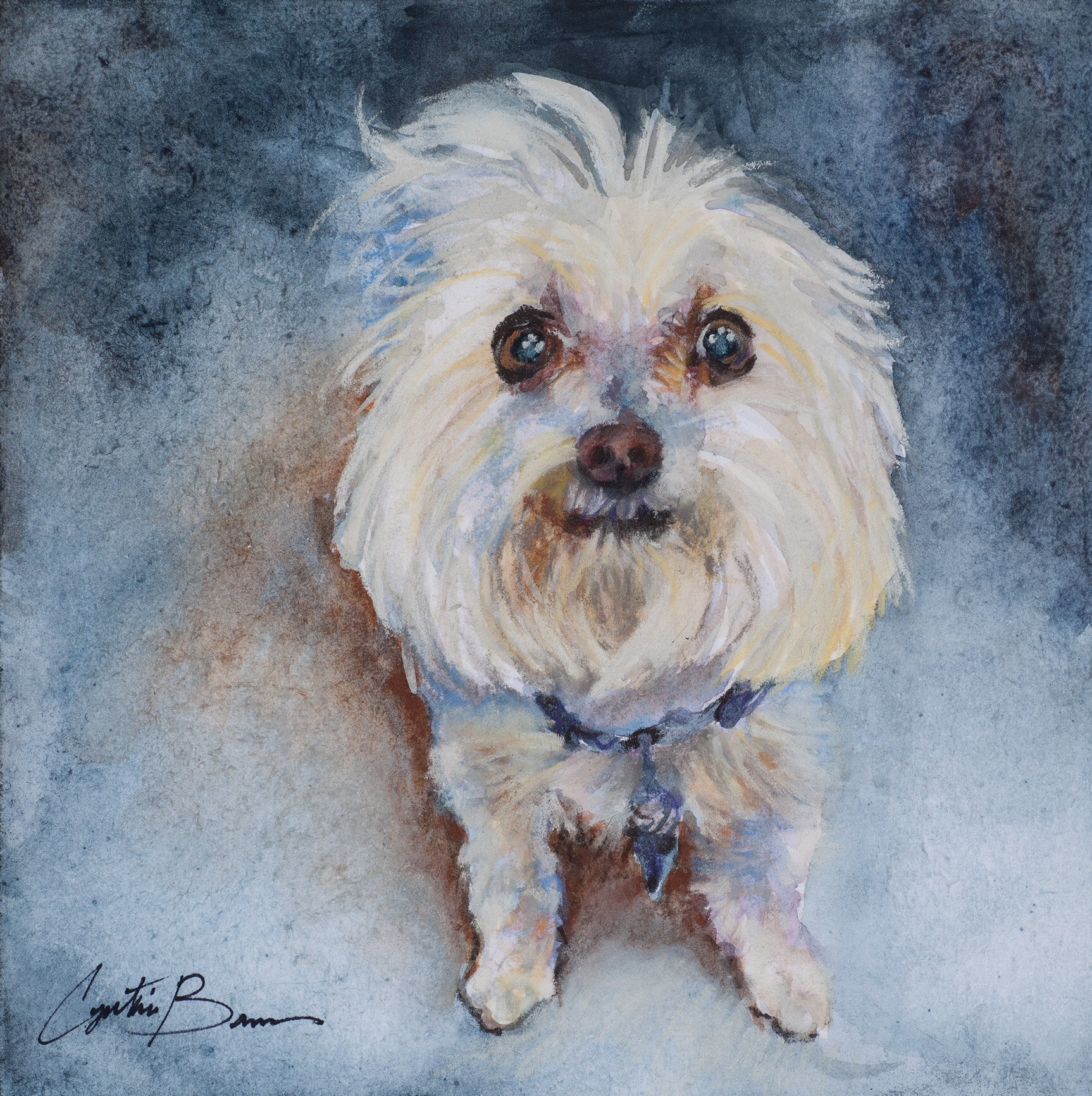   Kobi the Cute  Watercolor on watercolor paper 8x8 inches 