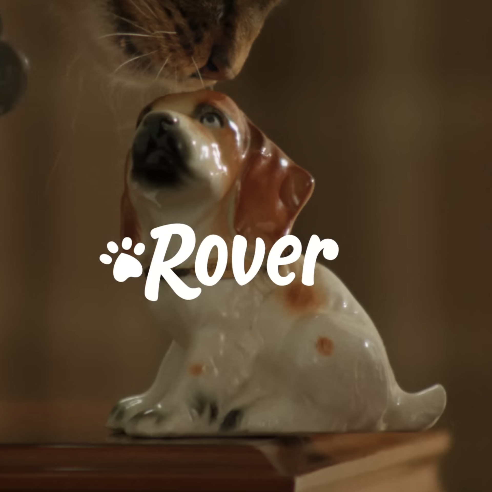 Rover : We Get Your Pet