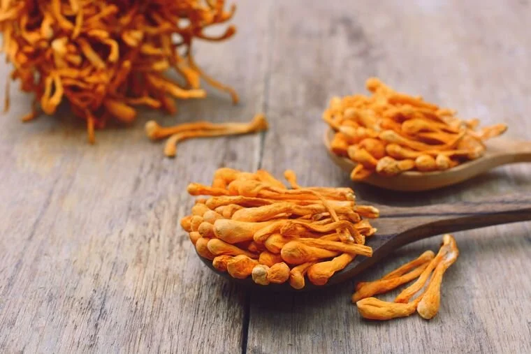 Energy Ignitor with Cordyceps