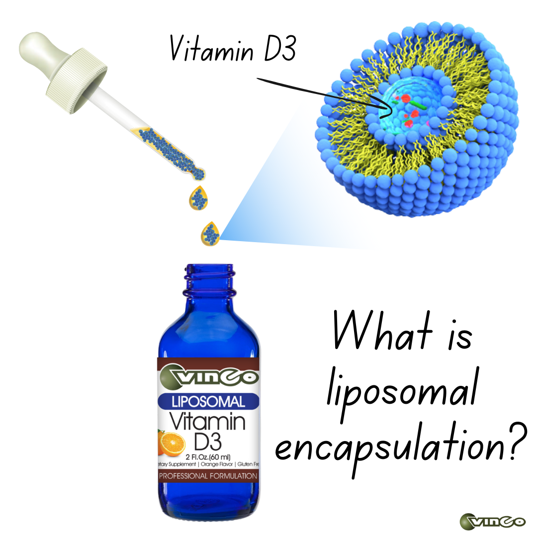 What is liposomal encapsulation?