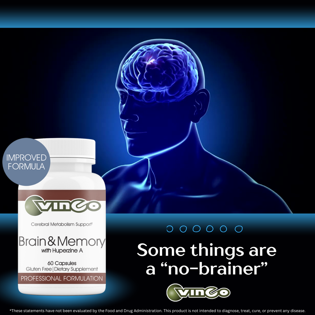 Brain Memory Video