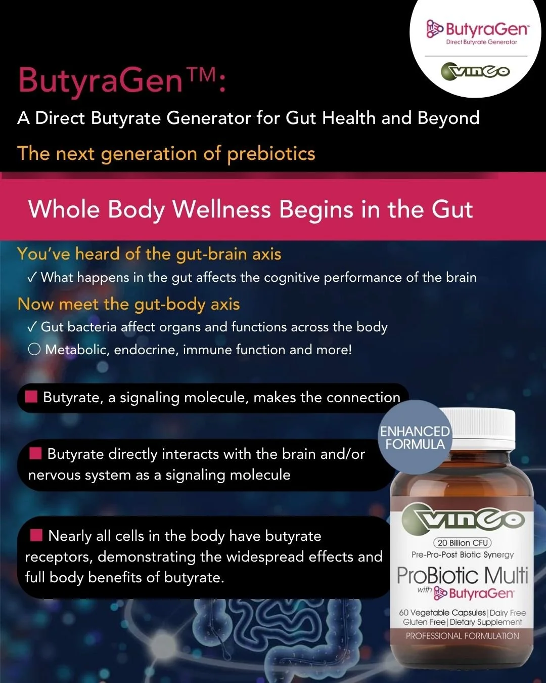 🤩Vinco's Probiotic Multi is now contains the power trio of gut health: Prebiotics, Probiotics, &amp; Postbiotics!
Did you know your gut is home to trillions of microbes working around the clock to support your digestion, immunity, and overall well-b