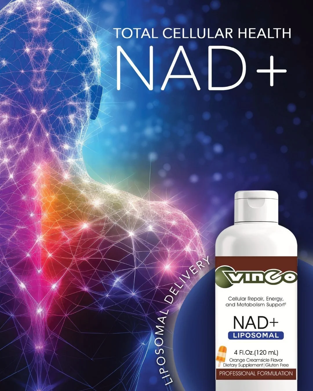 🧬The Future of Cellular Fuel has arrived at Vinco!

Don't settle for standard supplements when you can have precision delivery. Vinco&rsquo;s Liposomal NAD+ uses advanced nano-encapsulation technology to ensure the NAD+ molecule actually reaches you