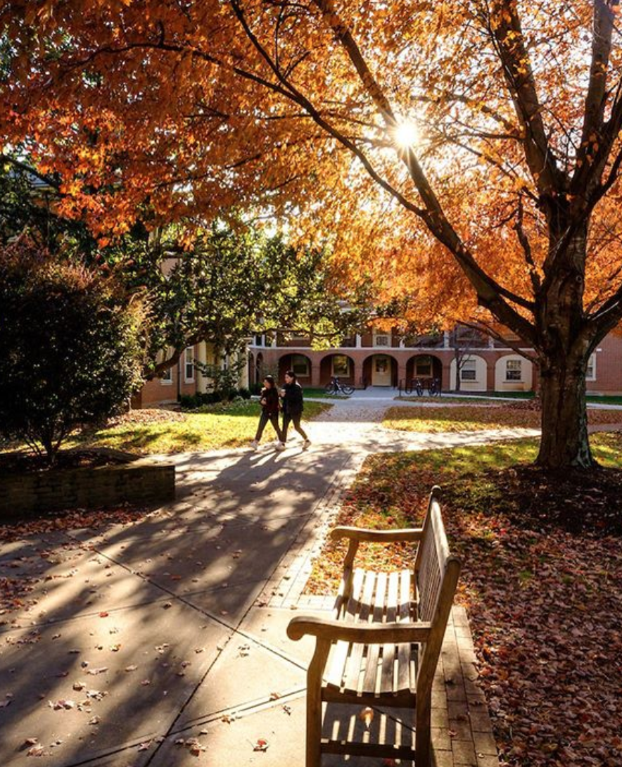 Twelve Tips for Incoming First-Year Students at Wake Forest University