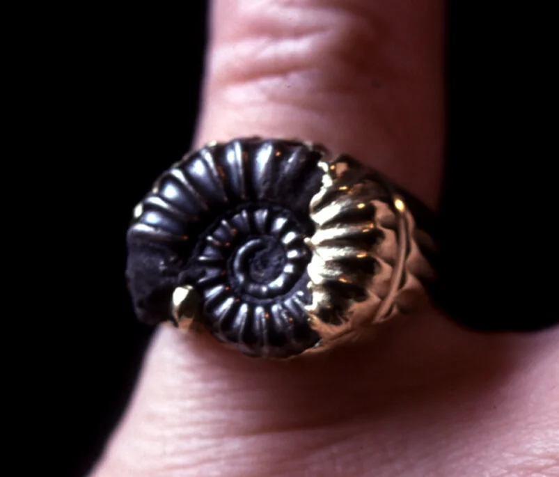  Fossil and 18k yellow gold 