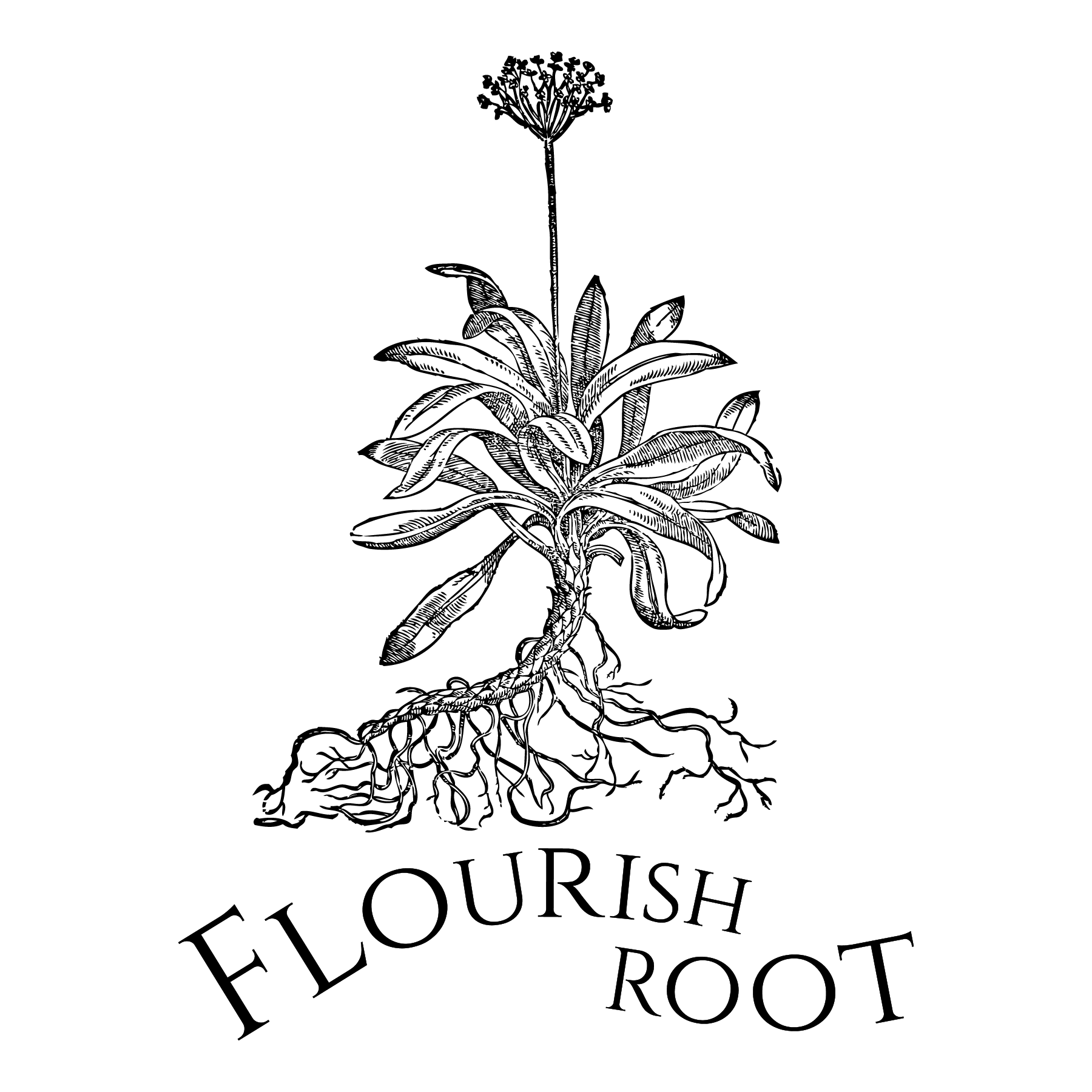 Flourish Root Florals