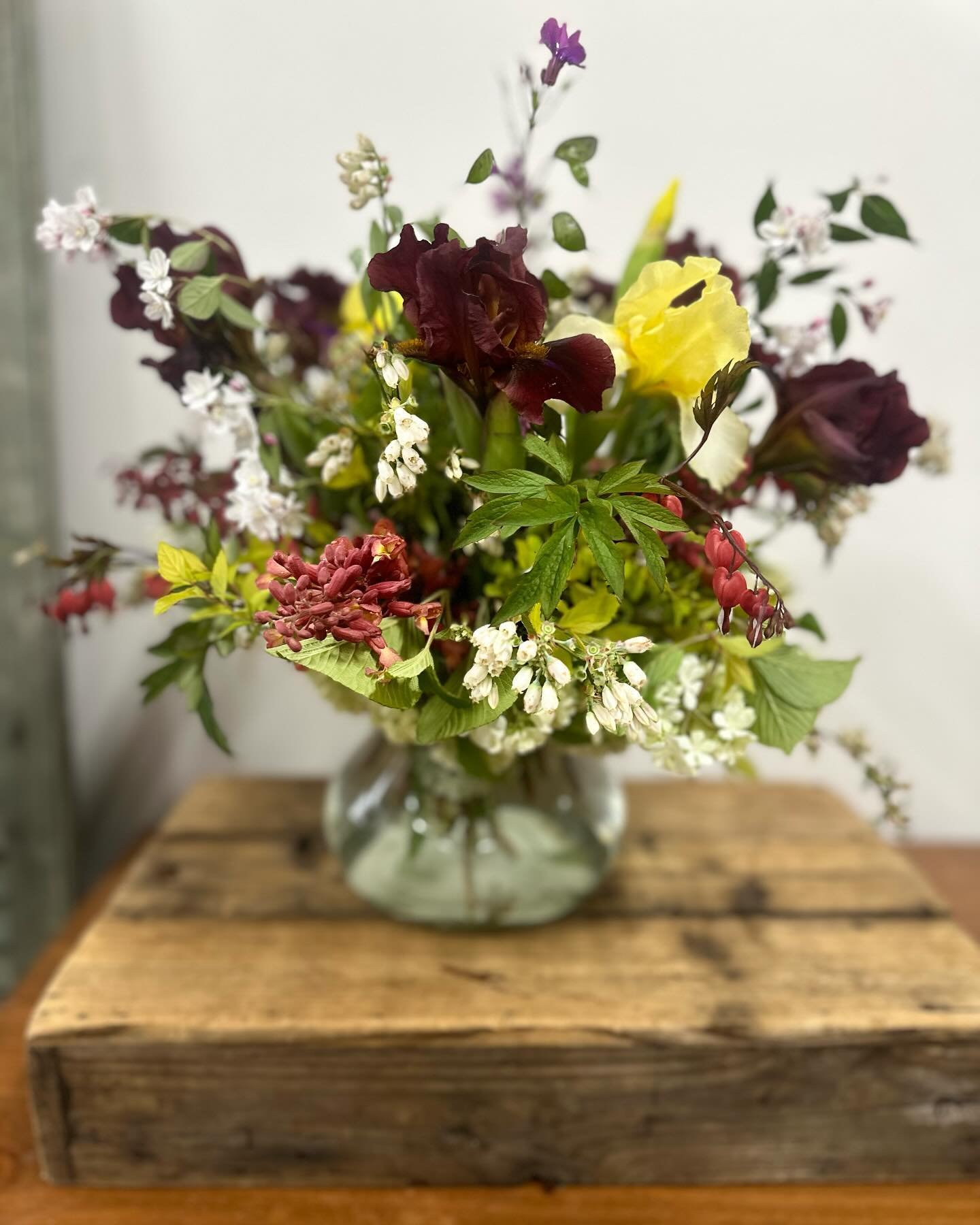 ✨🙌✨

Tis the Season &hellip;

For the Seasonal Flowering to take it up a notch &hellip; ✨

✨✨✨

#flourishroot #flowering #inseason #localgrown #flowers #foliage #flourishrootgrown #seasonalflowers #flower #sperryville #virginia #rappahannockcounty #