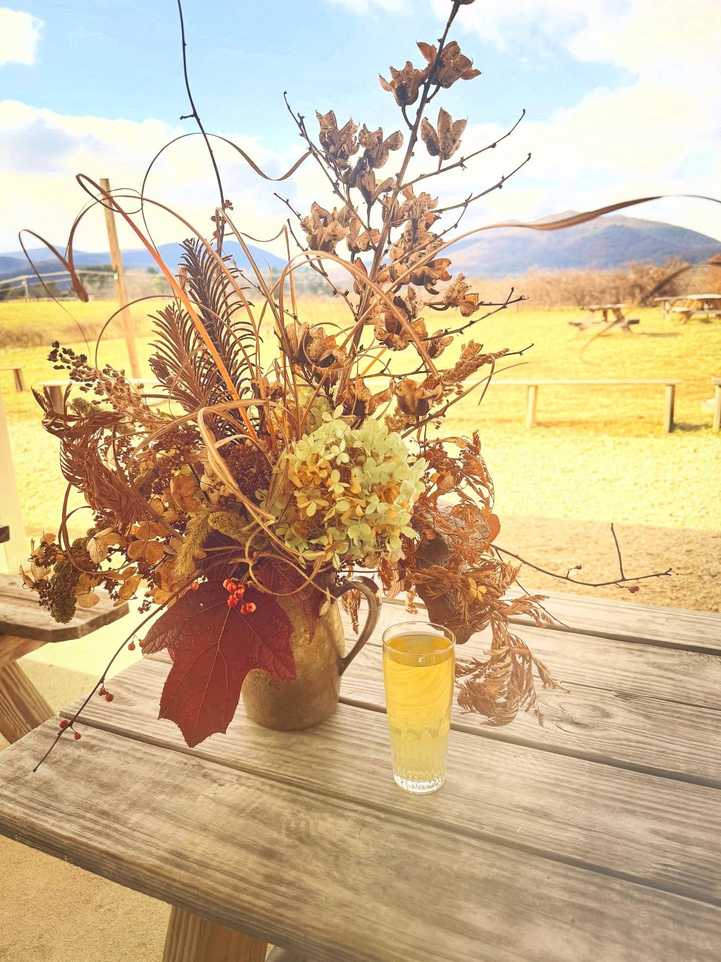 ✨ 🌬️ ✨

Friday&hellip;
Windswept&hellip;

 @pendruidbrewing 

✨✨✨

#flourishroot #coldweather #flowering  #windswept #supportyourlocal #brewing