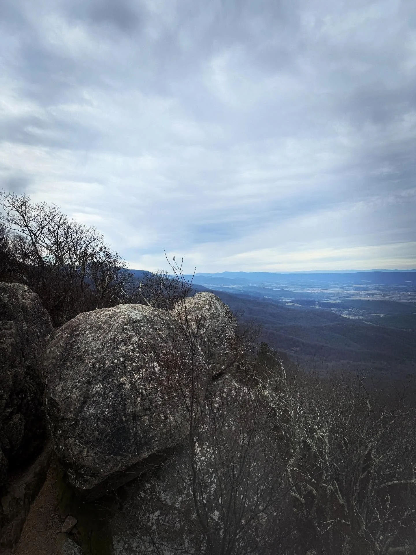 ✨

Gratitude

&ldquo; Gratitude unlocks the fullness of life.
It turns what we have into enough and more.
It turns denial into acceptance,
Chaos to order, confusion to clarity.
It can turn a meal into a feast, 
A house into a home,
A stranger into a 