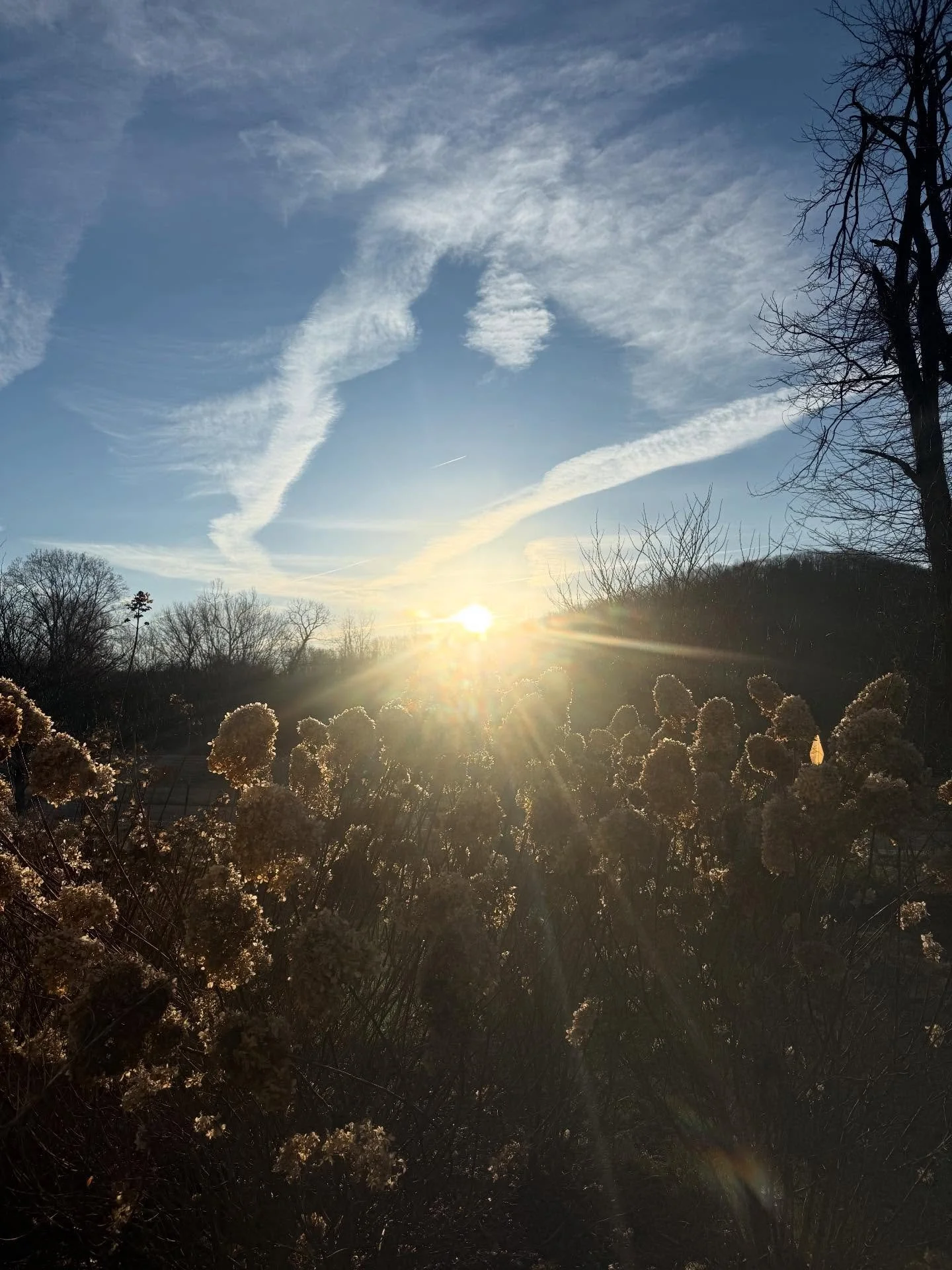 ✨⚖️✨

Spring Equinox &hellip; ✨

Here&rsquo;s to the balance in all things &hellip; ✨

✨✨✨

#flourishroot #springequinox #balance