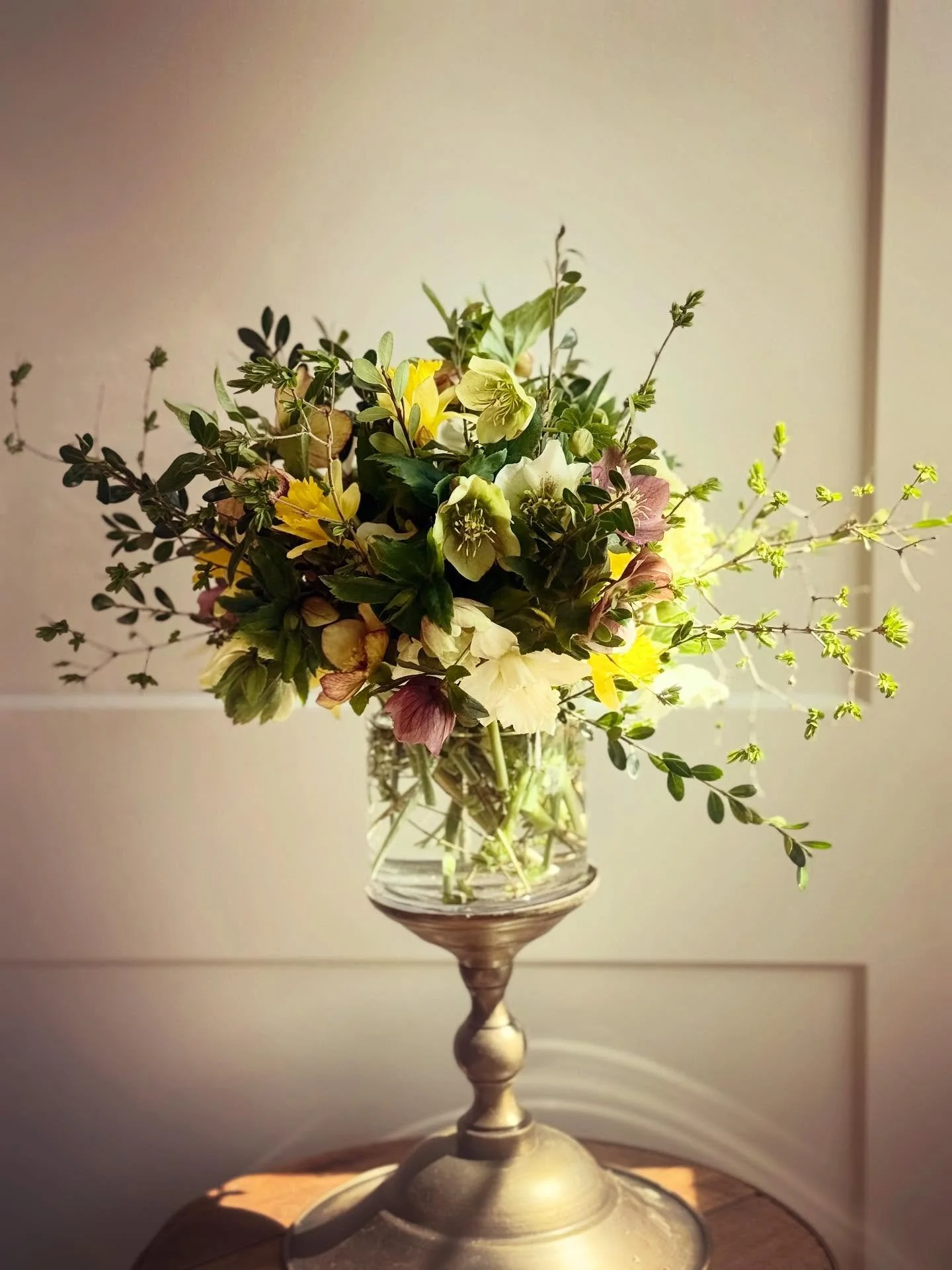 ✨🌱✨

Spring &hellip; ✨

Doing its Magic &hellip; ✨

For favs @hopkinsordinary &hellip; 🙌

✨✨✨

#flourishroot #springflowers #inseason #localgrown #springmagic