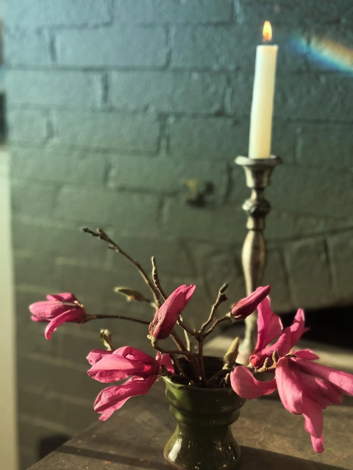 ✨💗✨

pink moon &hellip; ✨

coming soon &hellip; ✨

✨✨✨

#flourishroot #pinkmoon #comingsoon