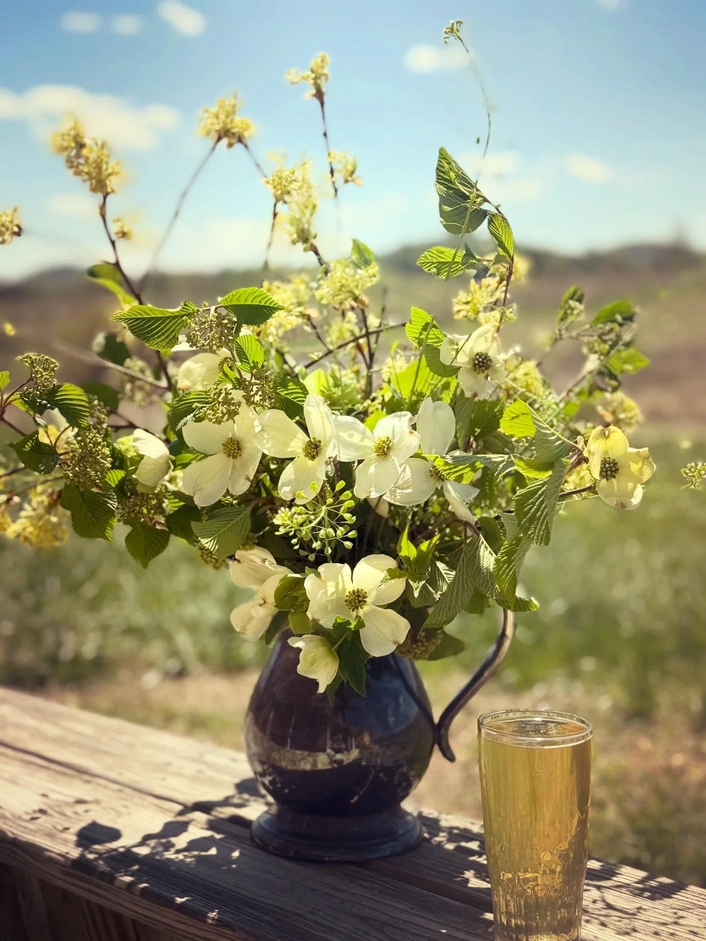 ✨🌱✨

Virginia &hellip; Spring &hellip; Sunday &hellip; ✨

Vibes &hellip; ✨

✨✨✨

#flourishroot #virginia #spring